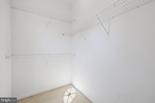 walk in closet with light colored carpet