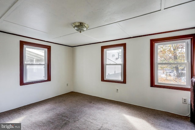 spare room featuring carpet flooring