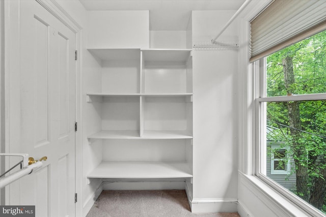 6763 25th St N, Arlington, VA 22213 - walk in closet with carpet flooring