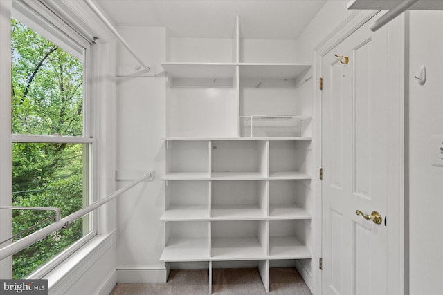 6763 25th St N, Arlington, VA 22213 - walk in closet featuring carpet flooring