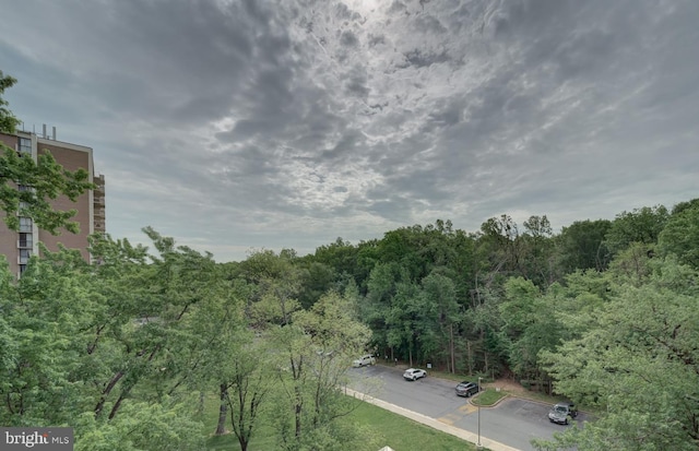 birds eye view of property with a forest view