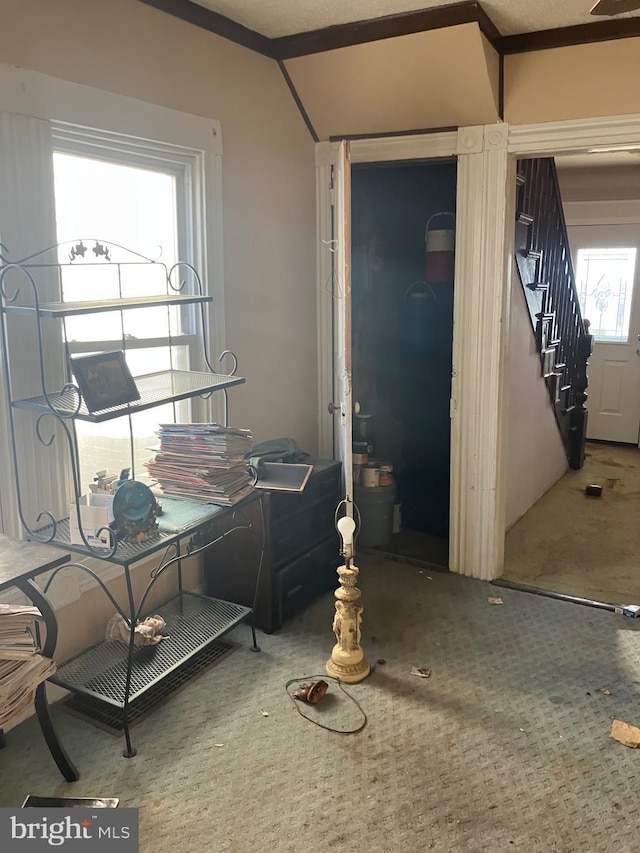 foyer with stairs and carpet flooring