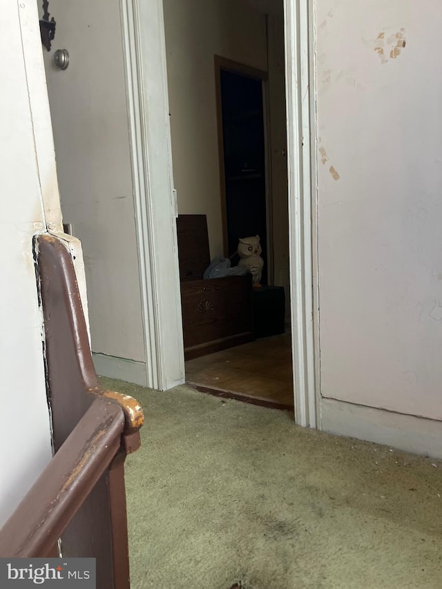 corridor featuring carpet floors
