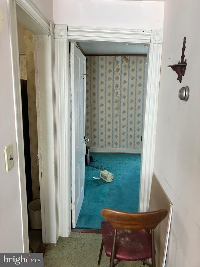 corridor with carpet
