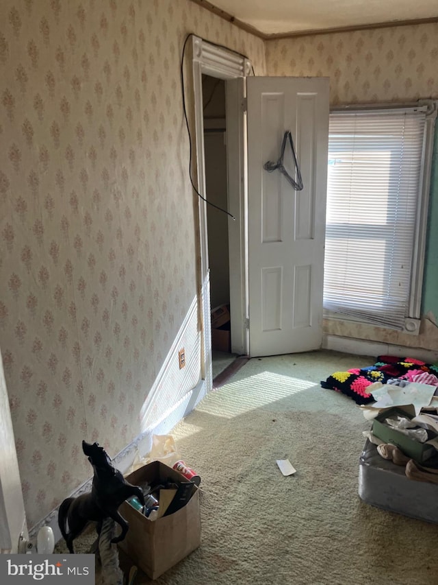 unfurnished bedroom featuring carpet floors and wallpapered walls