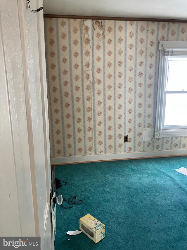 unfurnished room featuring carpet floors