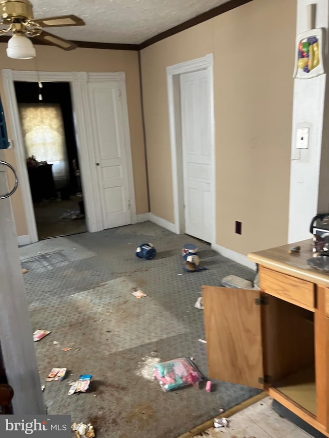 interior space featuring baseboards, ornamental molding, a ceiling fan, and a textured ceiling