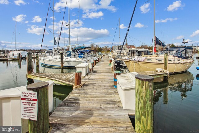 dock area with a water view