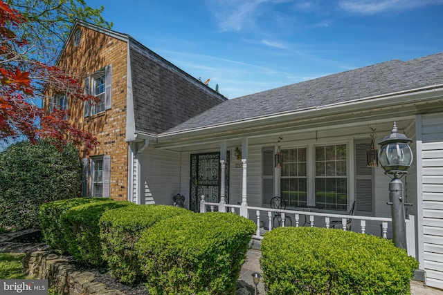 entrance to property featuring roof with shingles, a porch, and brick siding