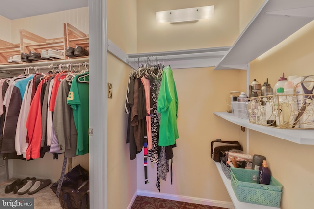 view of spacious closet