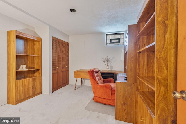 view of carpeted office space