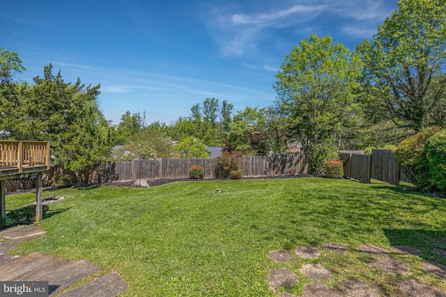 view of yard featuring a fenced backyard