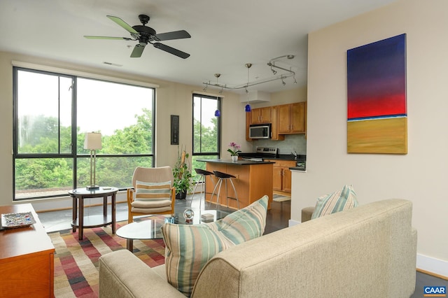 211 Cream St Unit 202, Charlottesville, VA 22903 - living area featuring ceiling fan and rail lighting