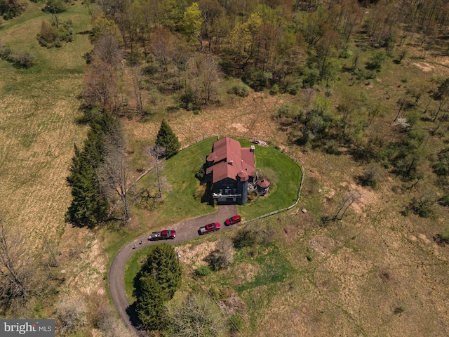 bird's eye view