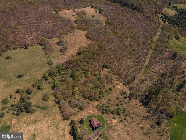 bird's eye view