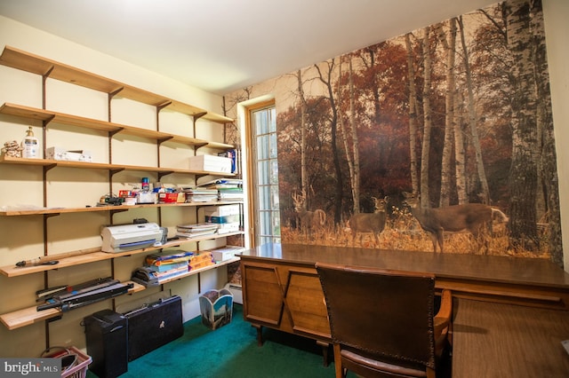 home office featuring baseboard heating and carpet