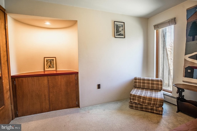living area with carpet and baseboard heating