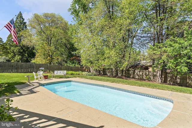10728 Zion Dr, Fairfax, VA 22032 - view of swimming pool featuring a fenced in pool, a patio, a lawn, and a fenced backyard