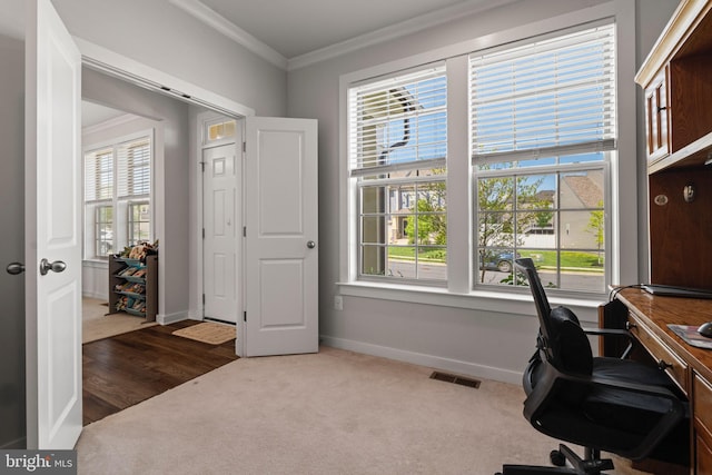 office space featuring crown molding, baseboards, carpet floors, and visible vents