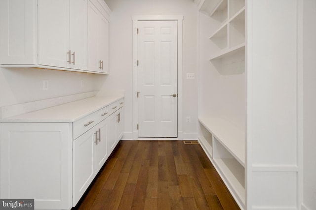 mudroom featuring dark wood finished floors