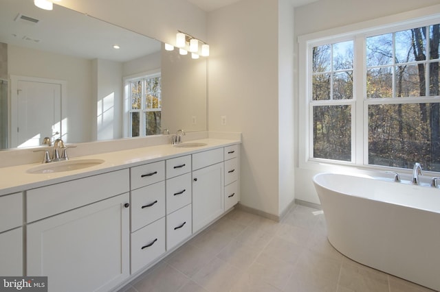 bathroom featuring a sink, baseboards, a soaking tub, and double vanity