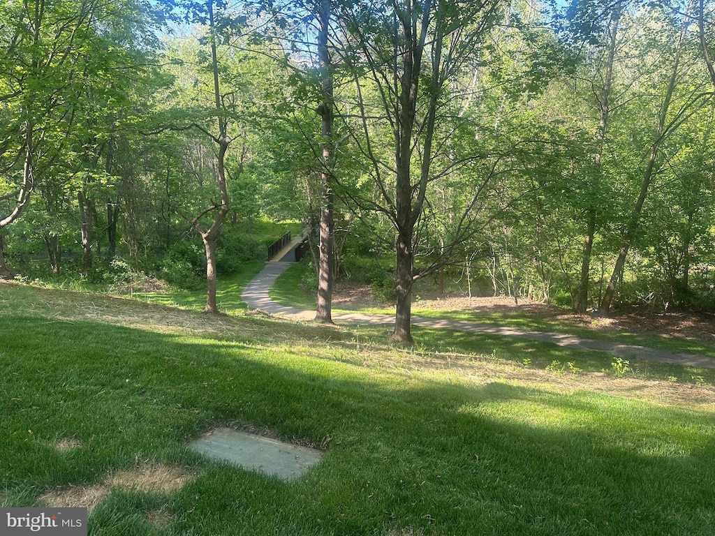 909 Hillside Lake Ter Unit 503, Gaithersburg, MD 20878 - view of yard