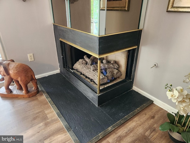 interior details featuring baseboards and wood finished floors