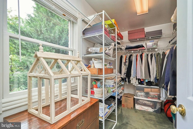 6368 Waterway Dr, Falls Church, VA 22044 - view of spacious closet