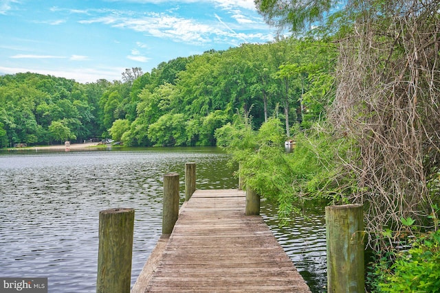 6368 Waterway Dr, Falls Church, VA 22044 - dock area with a water view and a wooded view