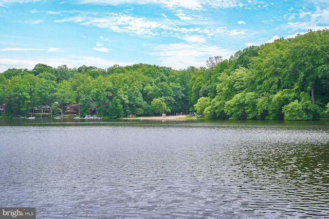 6368 Waterway Dr, Falls Church, VA 22044 - water view featuring a forest