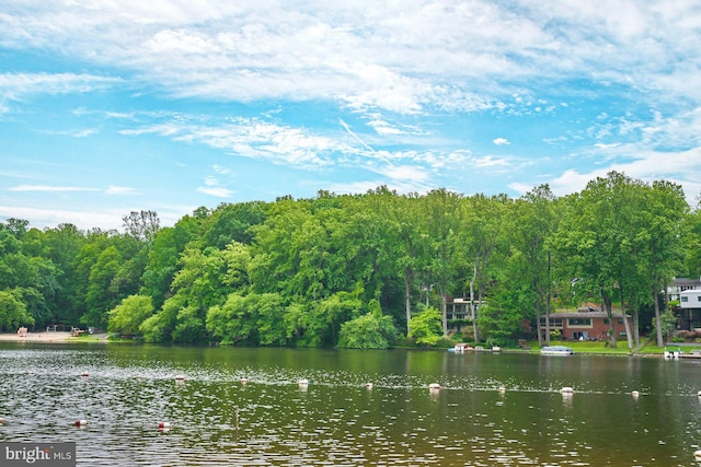 6368 Waterway Dr, Falls Church, VA 22044 - water view