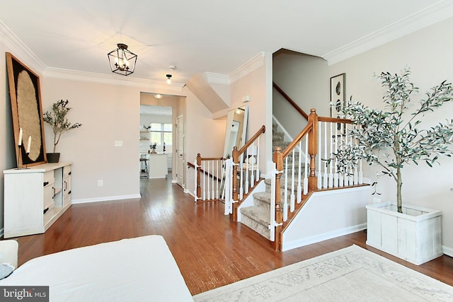 entrance foyer featuring crown molding, wood finished floors, stairway, baseboards, and an inviting chandelier