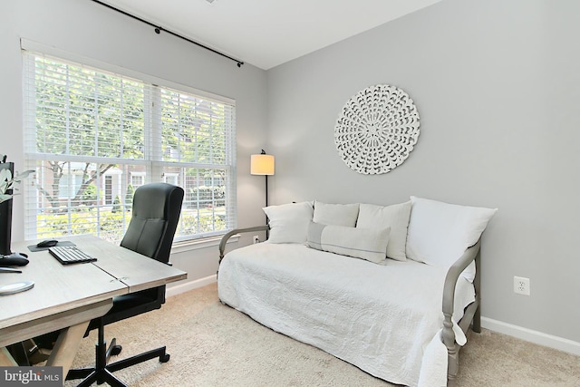 bedroom featuring baseboards and carpet