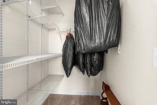 1604 Martha Ct Unit 404, Bel Air, MD 21015 - spacious closet featuring carpet floors