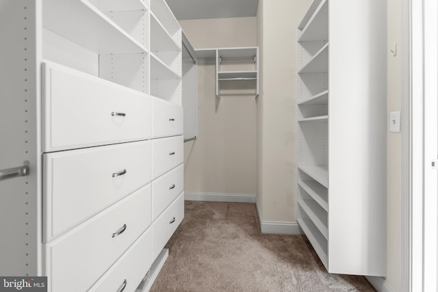 1604 Martha Ct Unit 404, Bel Air, MD 21015 - walk in closet with carpet