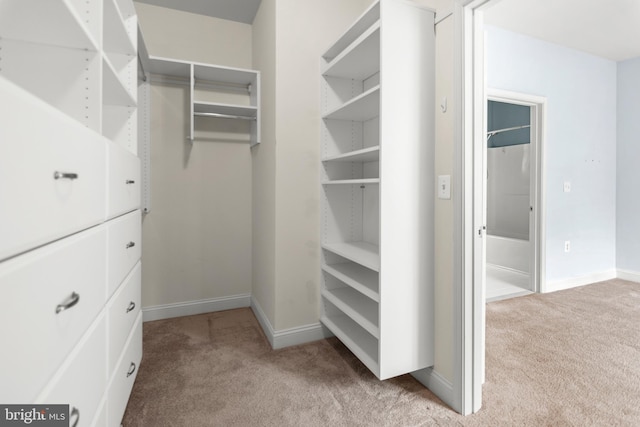 1604 Martha Ct Unit 404, Bel Air, MD 21015 - walk in closet featuring carpet