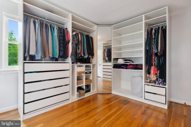 1612 Belvedere Blvd, Silver Spring, MD 20902 - spacious closet featuring wood finished floors