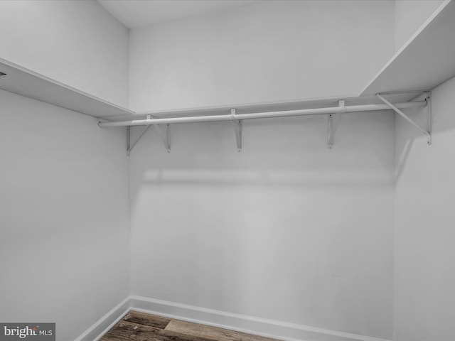 walk in closet featuring wood finished floors