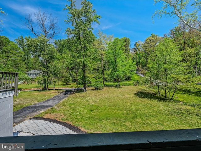 view of yard