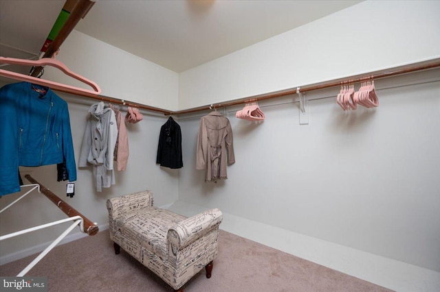 102 Haldane Dr, La Plata, MD 20646 - walk in closet featuring carpet floors