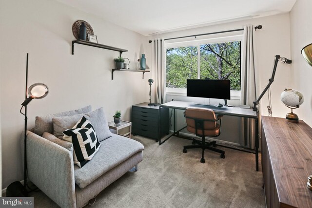 office with carpet flooring