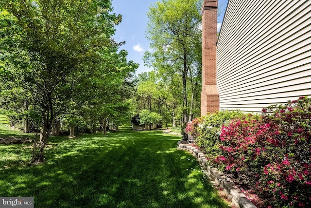 view of yard