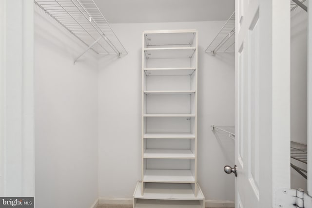 view of walk in closet
