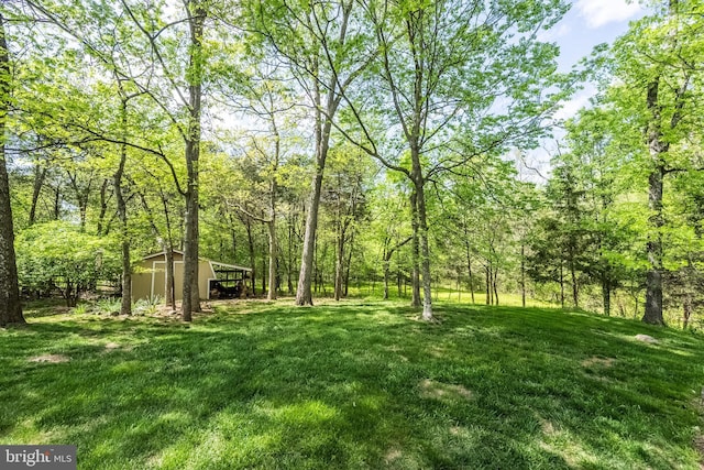 view of yard with an outbuilding