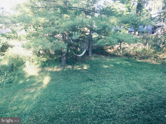 13211 Lutes Dr, Silver Spring, MD 20906 - view of green lawn
