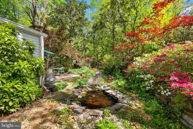 view of yard featuring a patio