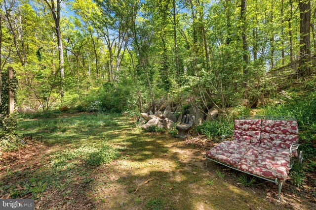 view of yard featuring a view of trees