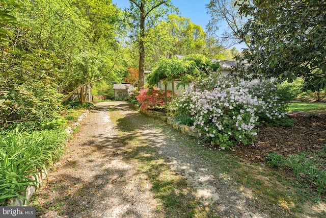 view of street featuring driveway