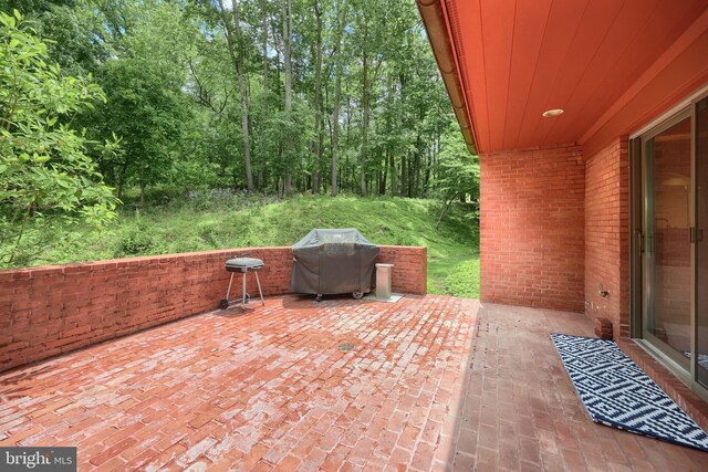 174 Springhouse Ln, Spring Grove, PA 17362 - view of patio / terrace with grilling area