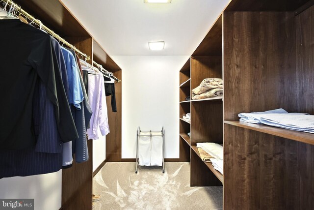 174 Springhouse Ln, Spring Grove, PA 17362 - walk in closet with carpet floors